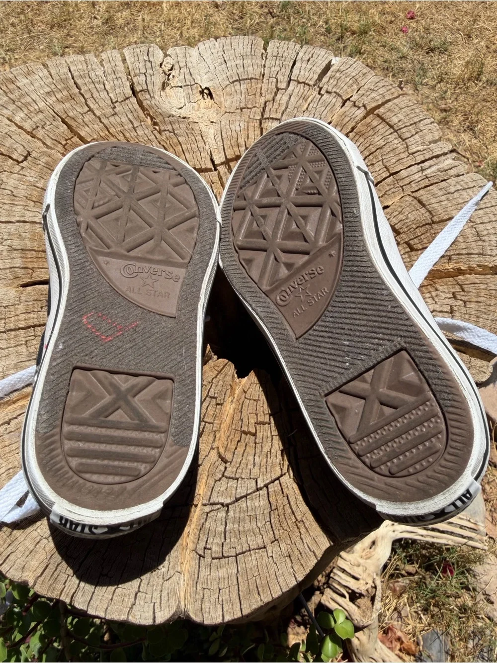 Converse Black Low-Top Kids Sneakers with White Laces
